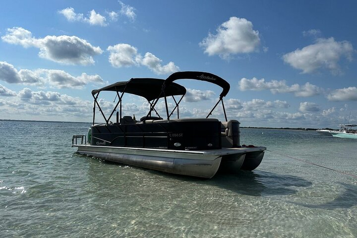 Clearwater Beach Private Pontoon Boat Tours  - Photo 1 of 21